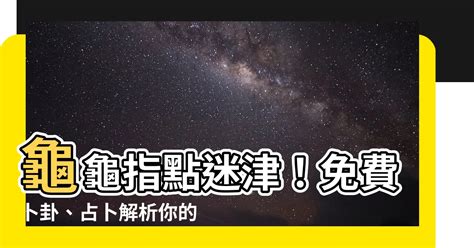 免費卜卦算命龜|【卜卦】龜龜指點迷津！免費卜卦、占卜解析你的命運走向